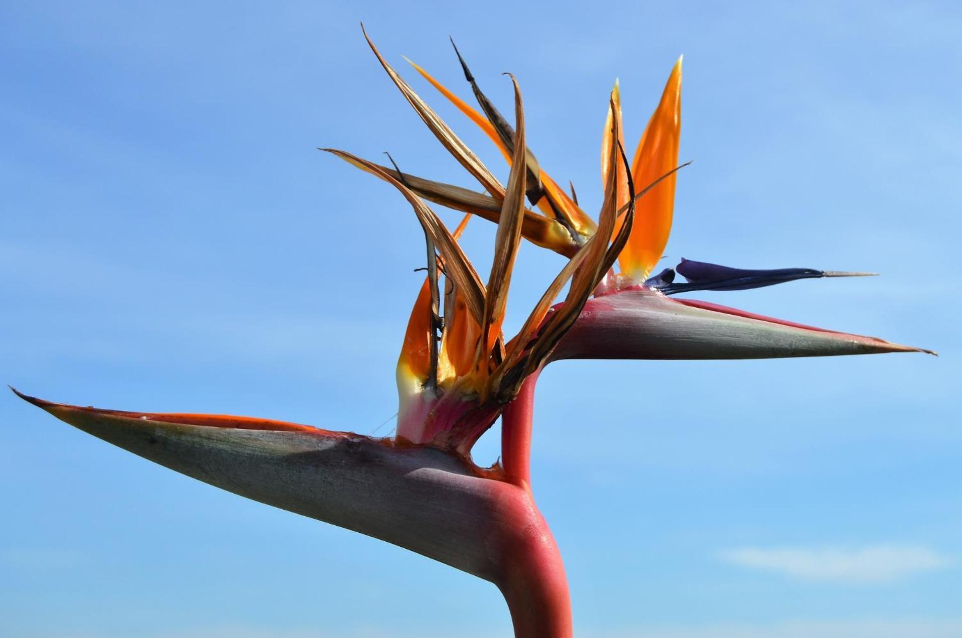 Espectacular Vistas De Almuñécar エクステリア 写真